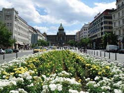Praça Venceslau, Nove MEsto